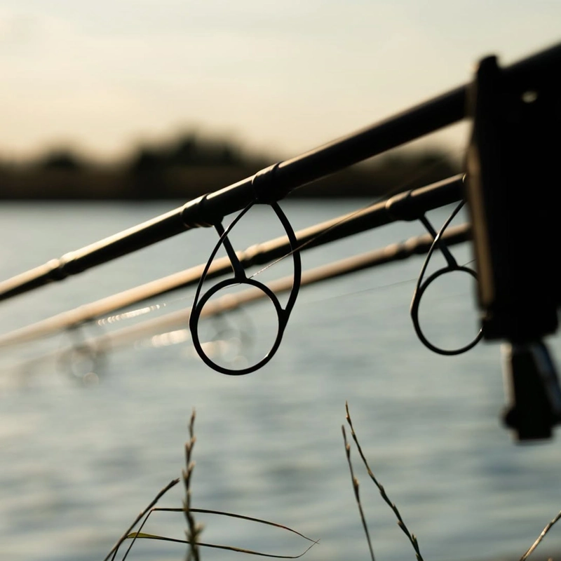 Daiwa Whisker X45 Carp Rods